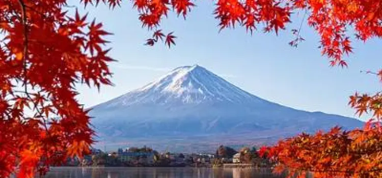 【東京紅葉最新】十大東京及近郊紅葉銀杏景點｜最佳賞楓時間＋交通攻略