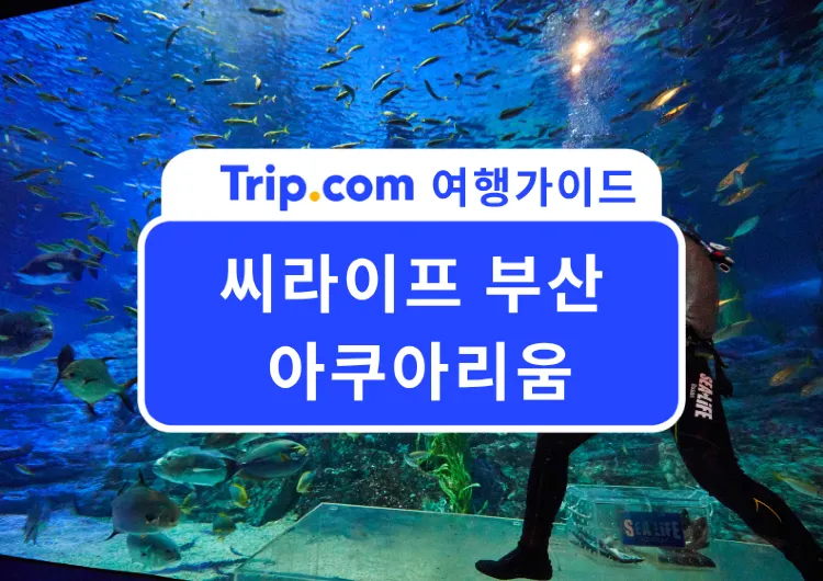 2026 인기 여름휴가지, 부산 실내 데이트·가족 여행 추천! 씨라이프 부산 아쿠아리움 할인 입장료, 공연, 맛집까지!