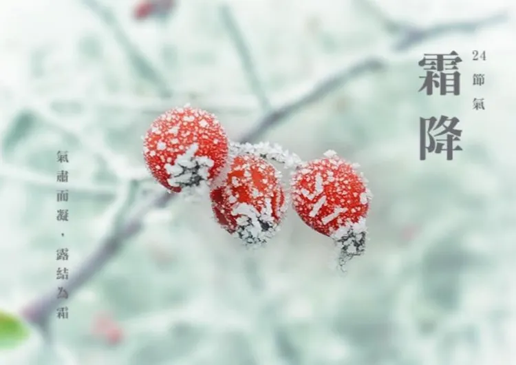【霜降2025】二十四節気の霜降とは？意味や由来、過ごし方、食べ物、季語やイラスト、木枯らし1号の基準について徹底解説！