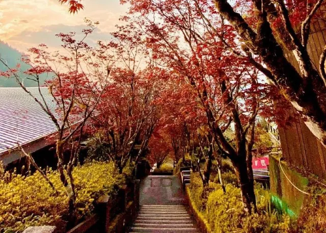 太平山