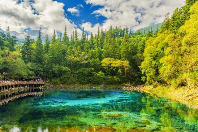 Five Flower Lake in Jiuzhaigou, with clear water and sunken logs