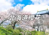 【北海道櫻花2025】12個北海道賞櫻景點懶人包,開花時間預測、地址、交通全攻略
