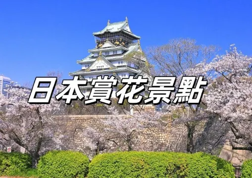 【日本櫻花】2026日本賞櫻必去大阪！8大人氣櫻花景點推介