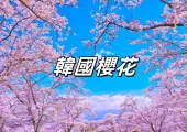 【2025 韓國櫻花】漫步韓國,溫柔邂逅櫻花!25 大韓國櫻花景點,首爾釜山濟州賞櫻攻略打包推介!