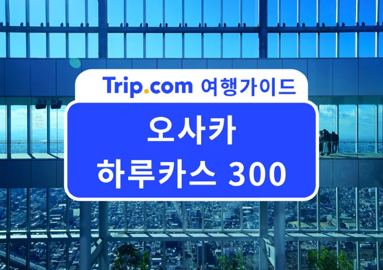 2026 오사카 하루카스 300 전망대 입장료부터 야경, 우메다 공중정원 비교, 근처 맛집까지 총정리