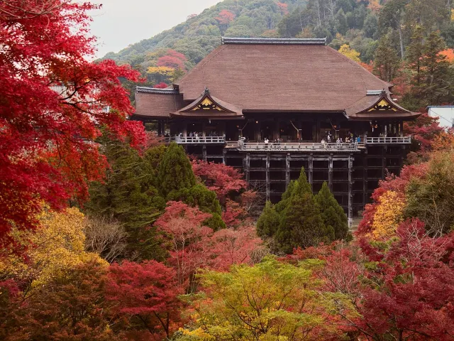 写真：紅葉に包まれる清水寺｜Wikimedia Commons（lumoplank／CC0 1.0）