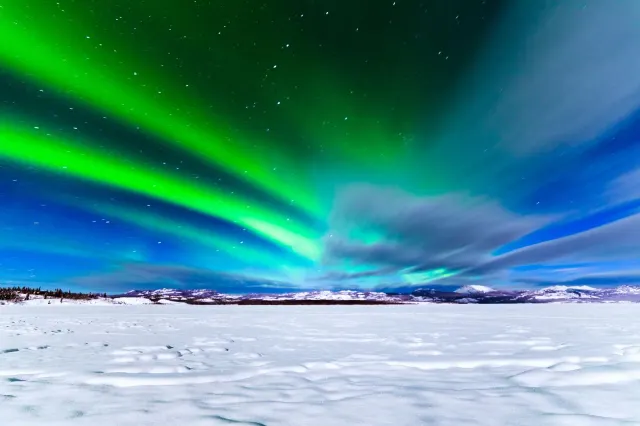 1mj1h824x9as38nef1CEA.jpg
