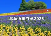 【2025北海道薰衣草】十二大日本賞花必訪景點!北海道賞花景點/交通/住宿攻略一次看
