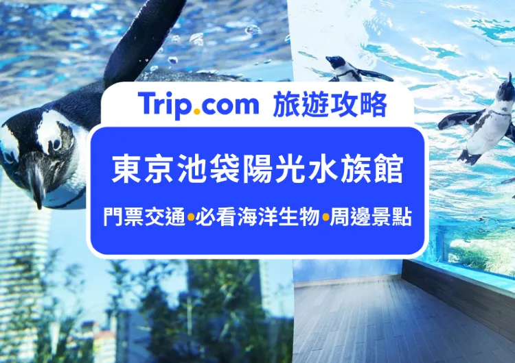 在摩天大樓看汪洋大海！2024東京池袋陽光水族館攻略｜門票交通、必看海洋生物、活動體驗、周邊景點推薦