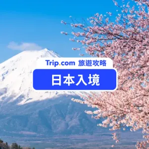 【2026 日本入境新規定】自助通關、預先通關、Visit Japan Web 教學、入境手續懶人包一次看