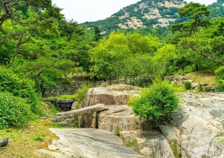 계곡 여행지 BEST 7: 무더위 날려줄 서울 근교 피서지 