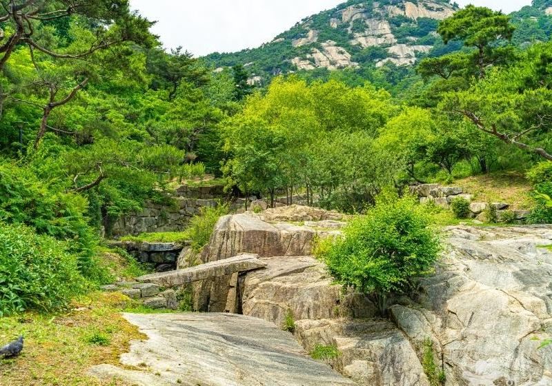 계곡 여행지 BEST 10: 무더위 날려줄 서울 근교 피서지 추천