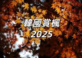 【韓國賞楓2025】終極懶人包!紅葉前線預測、全境景點推薦、賞楓一日遊行程總整理
