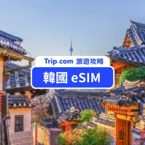 【韓國 eSIM 推薦】3–30 天網路吃到飽特價懶人包