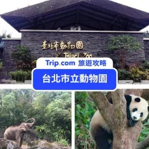 2026台北市立動物園遊園攻略！門票價格、交通路線、必看動物、餐飲資訊最完整分享！