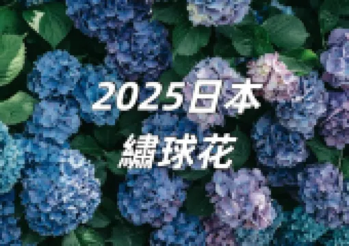 【日本繡球花2025】繡球花季賞花景點大盤點!絕景賞花地圖&花期預測全攻略!