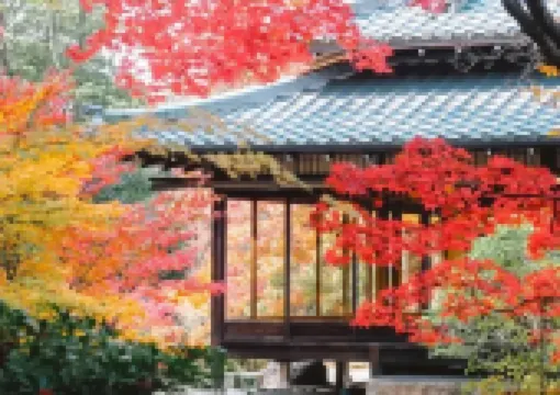 【京都紅葉スポット2025】11月15日から永観堂・天得院・金戒光明寺などでライトアップ本格開始！夜間特別拝観・紅葉の見頃・ホテルまとめ
