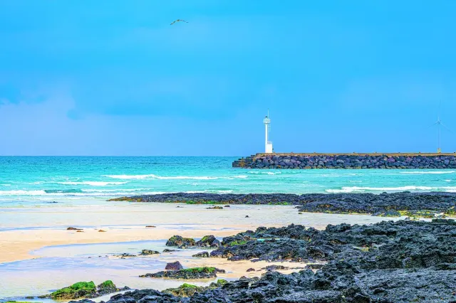 제주도 스노쿨링 협재해변