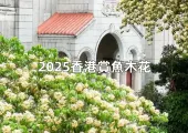 【魚木花2026香港賞花】2026香港賞魚木花全攻略！花期預測+攝影指南+秘境景點地圖指南大全
