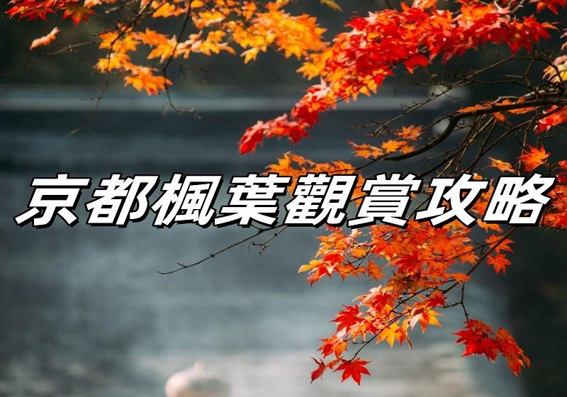 【日本京都紅葉2026】京都楓葉時間預測、賞楓穿搭、楓葉景點、交通一文睇！