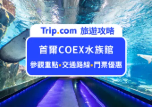 首爾市超大的室內水族館!2026COEX AQUARIUM水族館全攻略:門票推薦、交通路線、參觀重點,親子遊玩及雨天備案首選景點