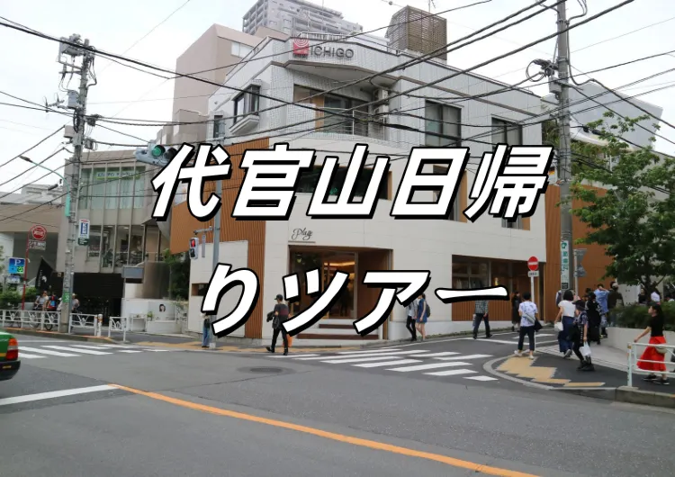 【代官山日帰りツアー】東京で最もおしゃれなショッピング街、セレブたちがここでショッピングを楽しむ、最も美しい蔦屋書店もここに !