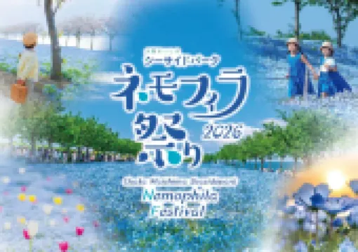 【ネモフィラ 関西 2026】今年も大阪で「ネモフィラ祭り」開催決定！チケットの販売情報・開催地・アクセス・混雑情報・見どころ・花言葉まで徹底解説～