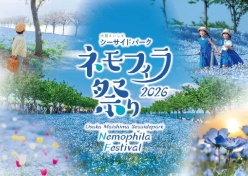 【ネモフィラ 関西 2026】今年も大阪で「ネモフィラ祭り」開催決定！チケットの販売情報・開催地・アクセス・混雑情報・見どころ・花言葉まで徹底解説～