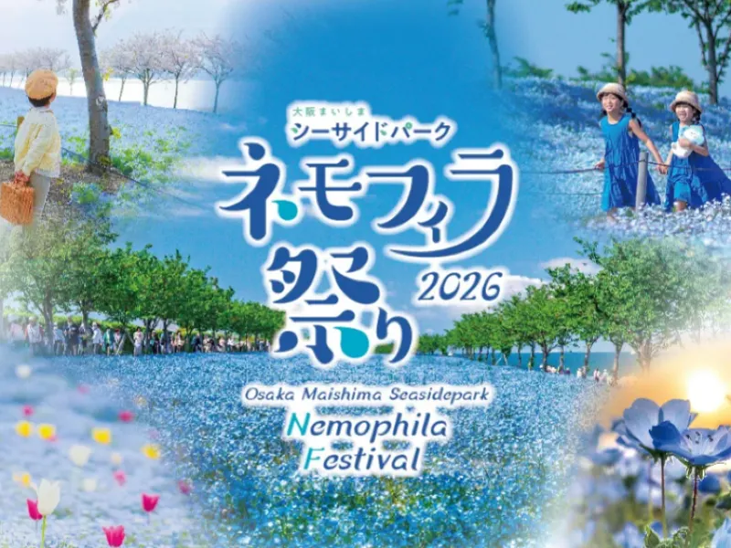 ネモフィラ 関西 2026】今年も大阪で「ネモフィラ祭り」開催決定