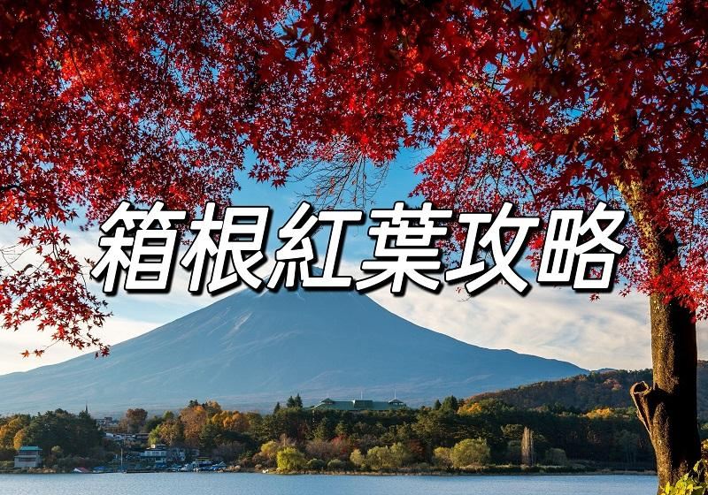 【日本箱根紅葉2026】箱根楓葉最佳觀賞時間、人氣賞楓景點、交通美食全攻略
