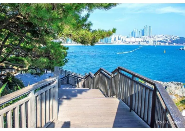 【2025澎湖旅行】澎湖2泊3日の旅程おすすめ・グルメ・交通費一覧