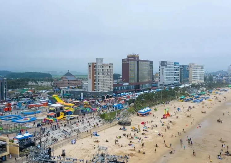 2026 보령머드축제 일정부터 프로그램, 근처 추천 호텔까지 총정리