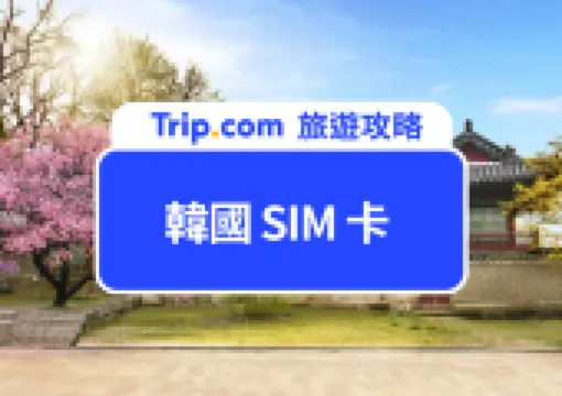 【韓國 SIM 卡推薦】無限流量!1-90 天網路吃到飽必買優惠