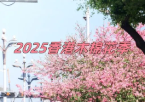 【木棉花2025】香港10大木棉花花海地圖大盤點！實時花況/隱世玩法/賞花景點一文睇清！