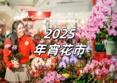 【維園年宵2025】2025年全港15大最值得逛年宵市場、新年市集推介!