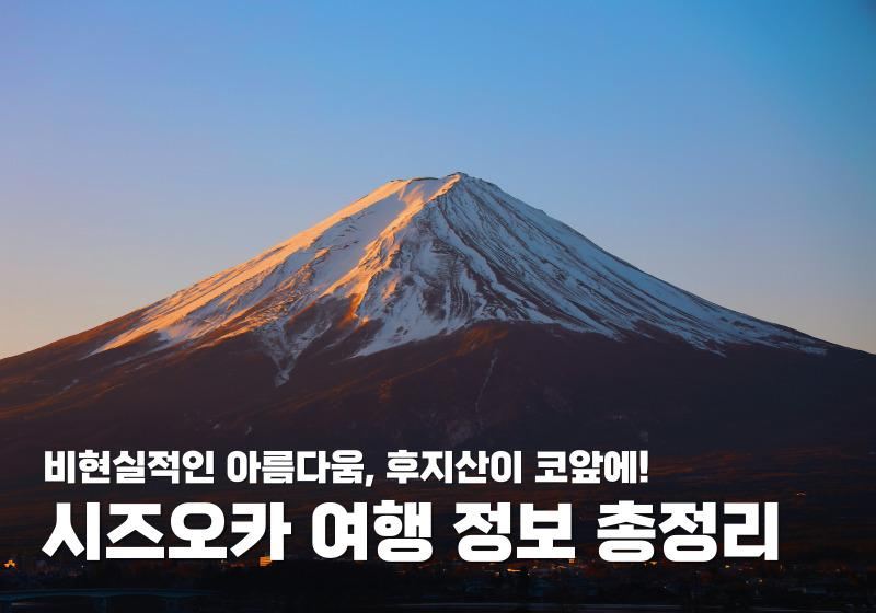시즈오카 여행 입문자를 위한 알짜배기 정보 총정리
