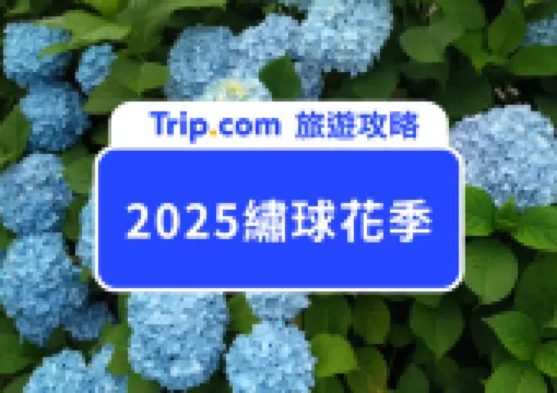 不止陽明山!2026台灣繡球花季|盤點賞花景點,交通路線全攻略!