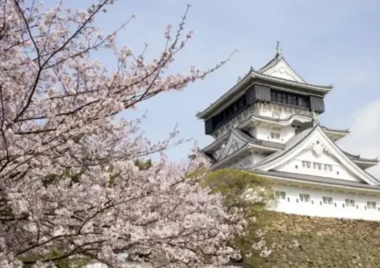 【福岡観光スポット】2025年 福岡必見スポットトップ 20!舞鶴公園、小倉城庭園で紅葉の秘境を探索!