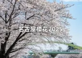 【名古屋櫻花】名古屋櫻花2025最新花期預測,4/3滿開日12大賞櫻秘境×近郊住宿攻略🌸