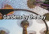 Best Gardens by the Bay Guide: What to do, Transport, Tickets and More!