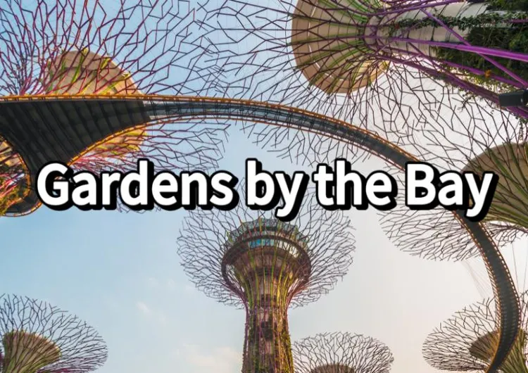 Best Gardens by the Bay Guide: What to do, Transport, Tickets and More!