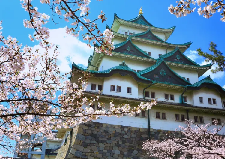 2025 나고야 가볼만한 곳 추천 Best 18 | 나고야 여행 기념품, 맛집, 근교 관광 명소, 숙소 추천까지 한눈에