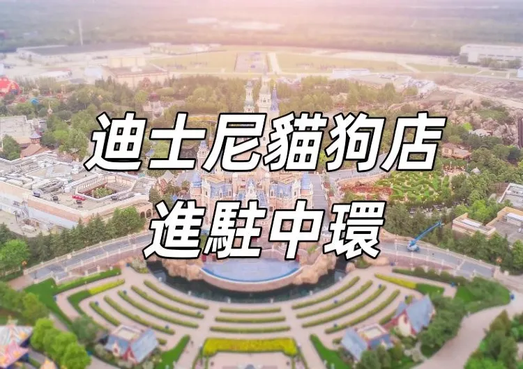 【迪士尼貓狗主題商店】迪士尼貓狗主題商店進駐中環了！人氣迪士尼貓狗系列香港初亮相