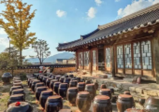 서울 한 달 살기 숙소 추천🧳 + 부산, 강릉, 경주 한달살기 프로젝트