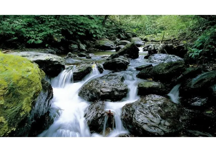 【羅東観光スポット】16のおすすめ羅東観光スポット！穴場スポット、家族での冒険、グルメの旅 