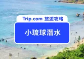 【2026小琉球必玩攻略】不只潛水！SUP、獨木舟、與海龜共游，最強水上活動總整理