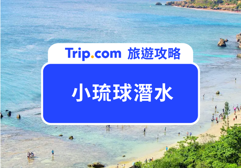 【2026小琉球必玩攻略】不只潛水！SUP、獨木舟、與海龜共游，最強水上活動總整理