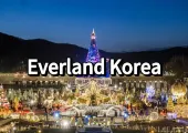 Best Guide to Everland Korea: What to do, Transport, Tickets and More!
