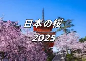 【日本の桜 2025】見逃せない大阪の美しい桜スポット7選、住所や交通案内など紹介!