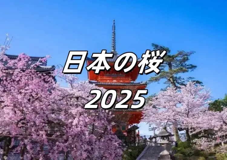 【日本の桜 2025】見逃せない大阪の美しい桜スポット7選、住所や交通案内など紹介！